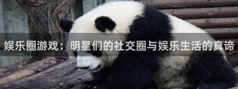 杏宇在线