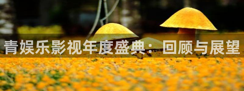 杏宇平台