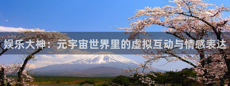 杏宇在线