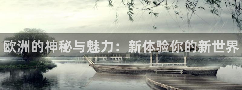 杏宇代理